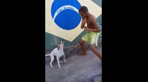 Ovo može samo brazilski pas
