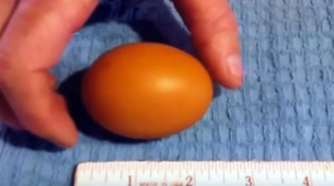Prirodni ekstrem: Jaje u jajetu